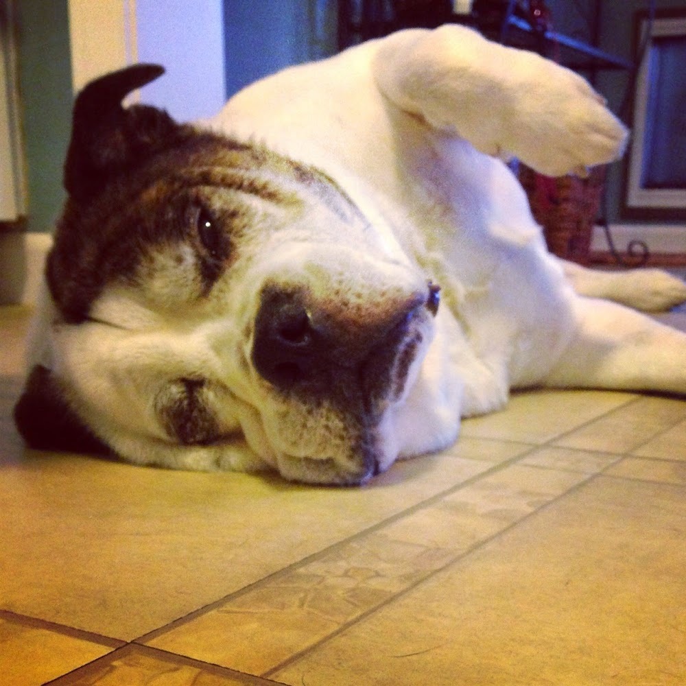 Meet your Posher, Kelly